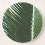 Overlapping Palm Fronds Coaster