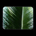 Overlapping Palm Fronds Flexible Magnet