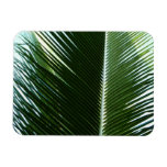 Overlapping Palm Fronds Flexible Magnet