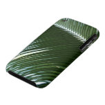 Overlapping Palm Fronds iPhone 3 Cover