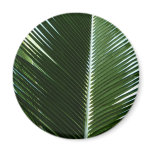 Overlapping Palm Fronds Magnet