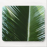 Overlapping Palm Fronds Mousepad