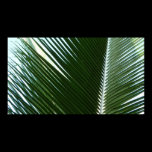 Overlapping Palm Fronds Print