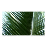 Overlapping Palm Fronds Print