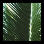 Overlapping Palm Fronds Square Canvas Print