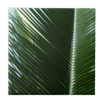 Overlapping Palm Fronds Tile