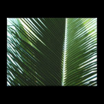 Overlapping Palm Fronds Wrapped Canvas Print