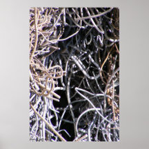 Overlooked Abstracts 2 Poster