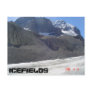 Overlooking the Glacier Post Card