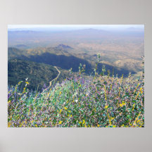 OVERLOOKING THE TOHONO O'ODHAM RESERVATION: SOUTHE PRINT