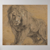 Oversized "Lion" Print by Sir Peter Paul Rubens