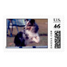 postcard - 