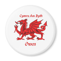 Owen Welsh Dragon magnets