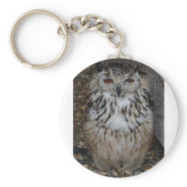 owl1 keychains
