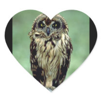 Owl (12) heart sticker