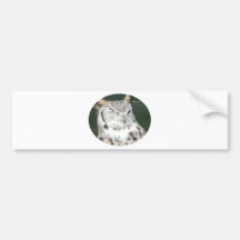 Owl 1 bumper stickers