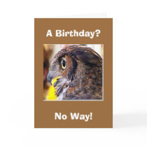 owl 2, A Birthday?, No Way! cards