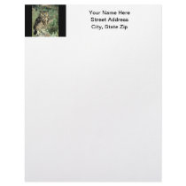 Owl (9) personalized letterhead