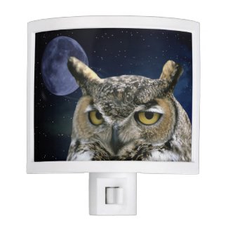 Owl and Blue Moon Night Light