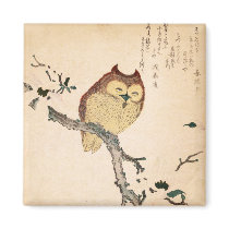 Owl and magnolia – Kobushi ni mimizuku Refrigerator Magnets