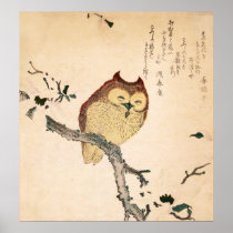 Owl and magnolia – Kobushi ni mimizuku Posters