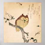 Owl and magnolia – Kobushi ni mimizuku Posters