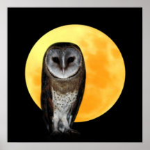 Owl and the full moon posters