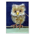 Owl at Night card