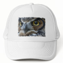 Owl Baseball Hat