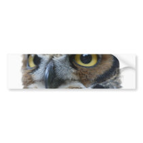 Owl Bumper Sticker