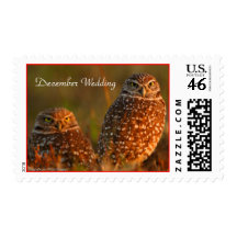 Owl, Burrowing, Couple, December Wedding Stamps