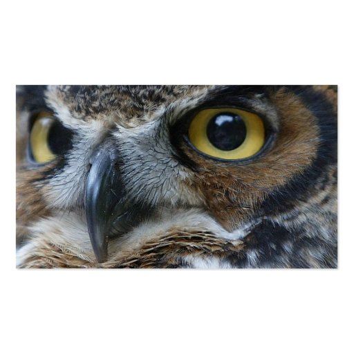 Owl Business Card (back side)