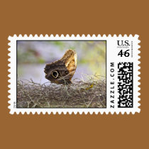 Owl Butterfly on Spanish Moss stamps