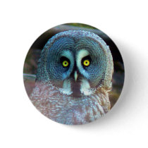 Owl Button