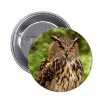 Owl Button Badge