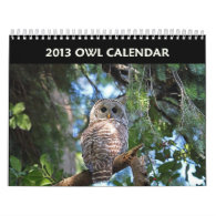 Owl Calendar 2013