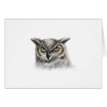 owl greeting cards