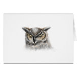 owl cards
