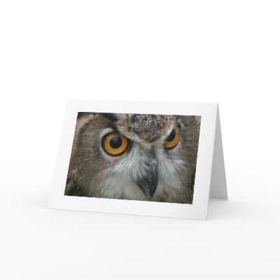 Owl Card by alberthartley