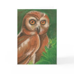 Owl Card