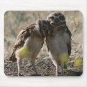 Owl couple mouse pad mousepads by LynnC1 Owl couple mouse pad mousepads