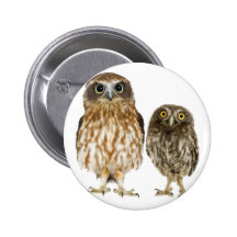Owl Duo Pinback Button