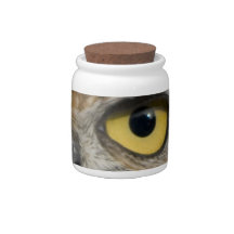 Owl Eyes Candy Dish