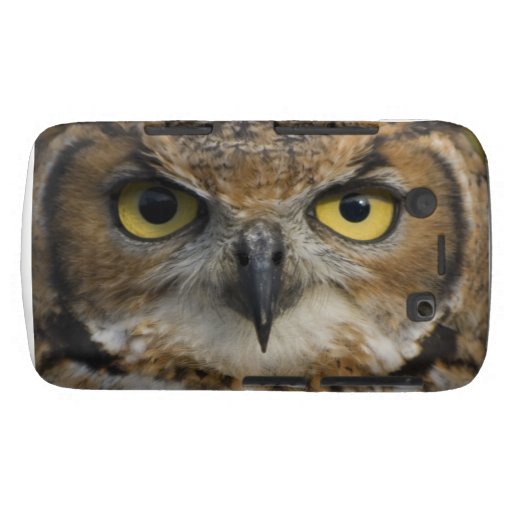 Owl Eyes Case-Mate Blackberry Case