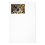 Owl Eyes Customized Stationery