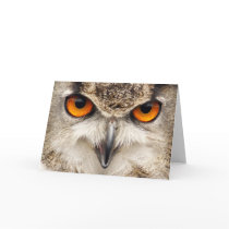 Owl Eyes, Eyes of the Eagle Owl Photograph Card