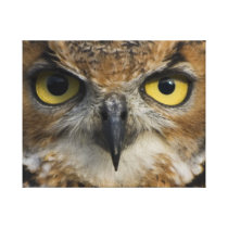 Owl Eyes Gallery Wrapped Canvas