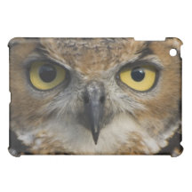 Owl Eyes iPad Mini Covers