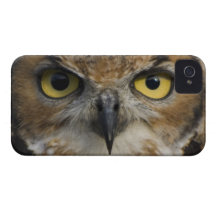 Owl Eyes iPhone 4 Cases