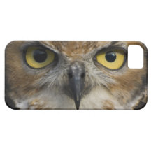 Owl Eyes iPhone 5 Covers